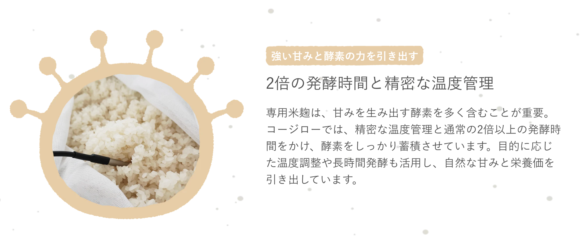 強い甘みと酵素の力を引き出す
2倍の発酵時間と精密な温度管理
専用米麹は、甘みを生み出す酵素を多く含むことが重要。コージローでは、精密な温度管理と通常の2倍以上の発酵時間をかけ、酵素をしっかり蓄積させています。目的に応じた温度調整や長時間発酵も活用し、自然な甘みと栄養価を引き出しています。