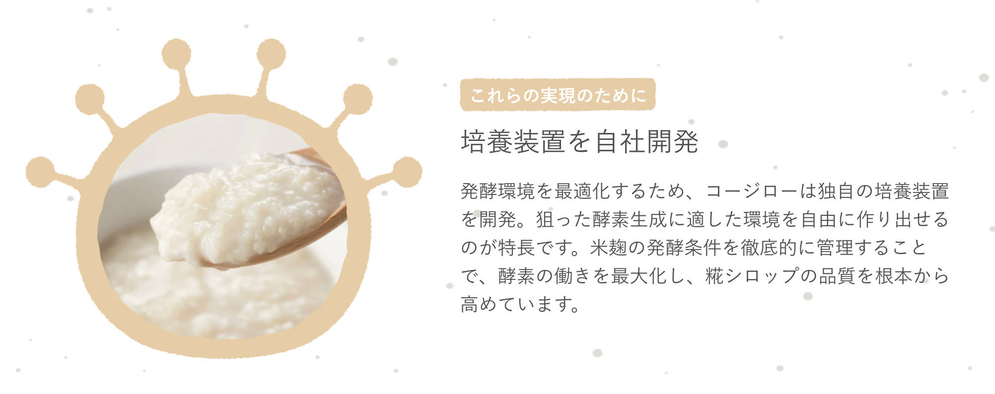 これらの実現のために
培養装置を自社開発
発酵環境を最適化するため、コージローは独自の培養装置を開発。狙った酵素生成に適した環境を自由に作り出せるのが特長です。米麹の発酵条件を徹底的に管理することで、酵素の働きを最大化し、糀シロップの品質を根本から高めています。