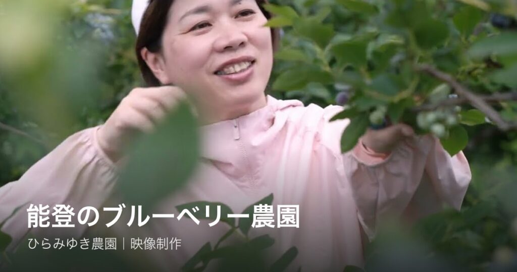 能登のブルーベリー畑で収穫するひらみゆき農園の平さん